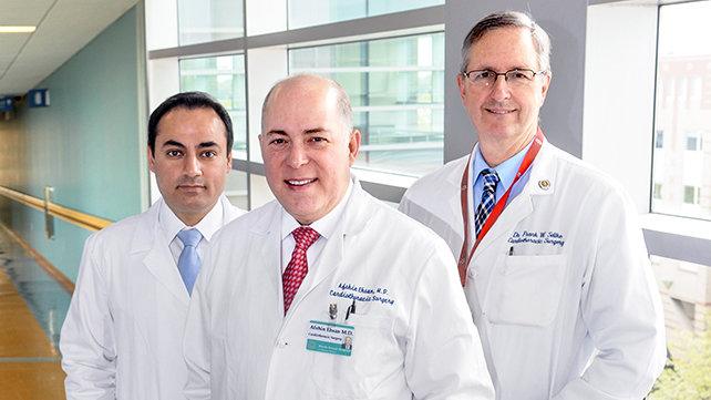 Valve and Structural Heart Surgery Team